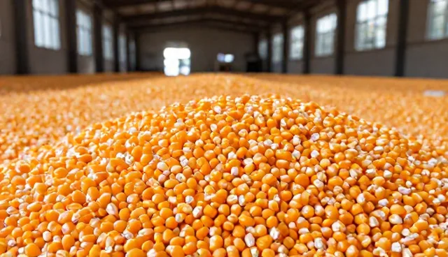 种苗供应选型中的关键考量因素解析